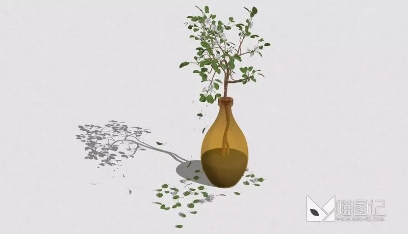 植物盆栽758