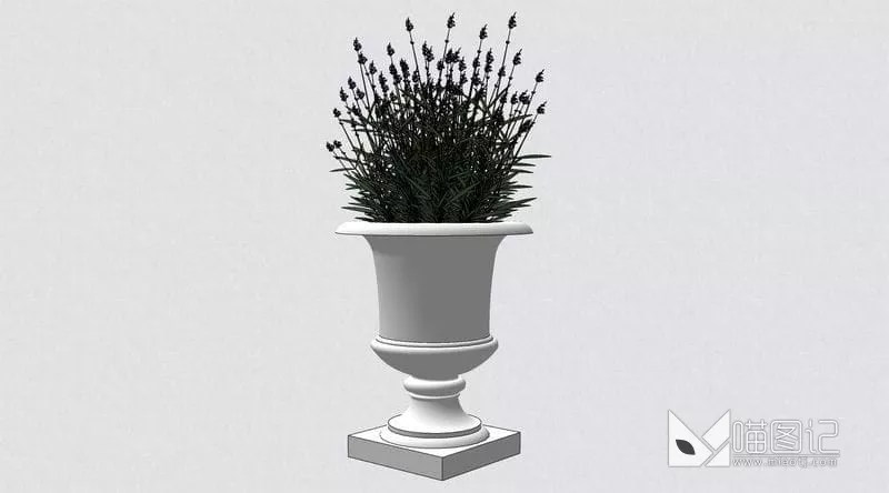 植物盆栽花瓶插花ID:45438_喵图记