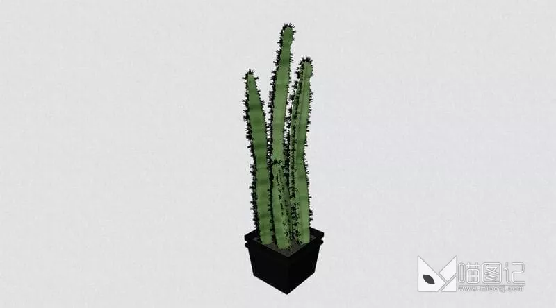 植物盆栽花瓶插花ID:45411_喵图记