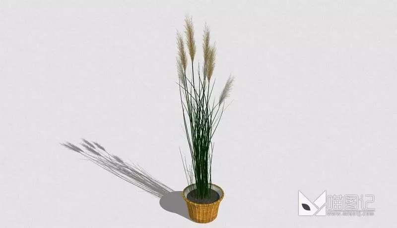 植物盆栽710