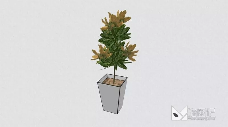 植物盆栽花瓶插花ID:45414_喵图记