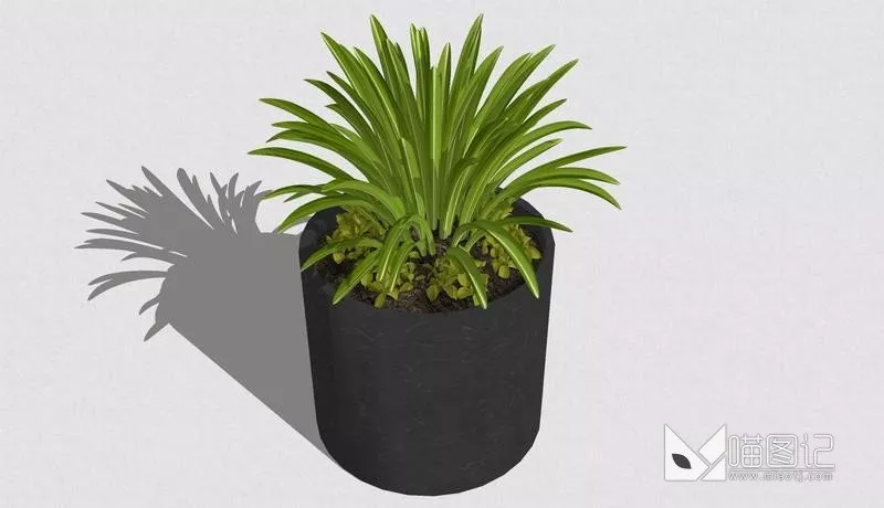 植物盆栽688