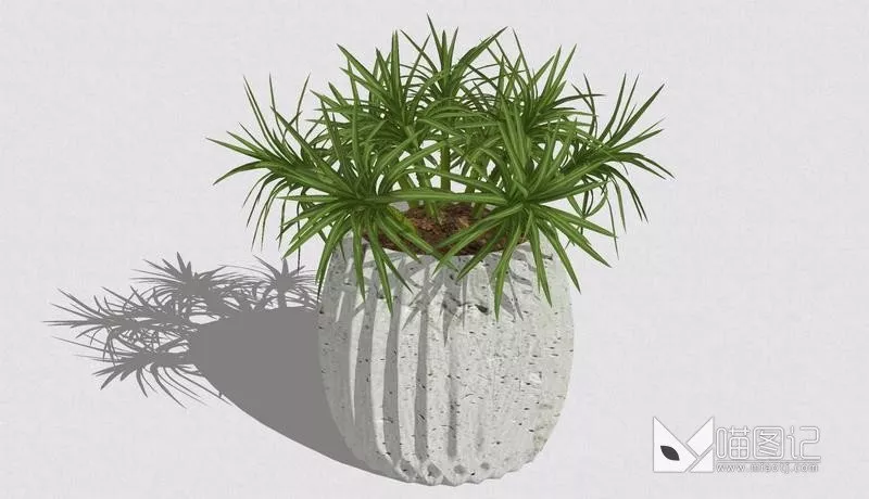 植物盆栽687