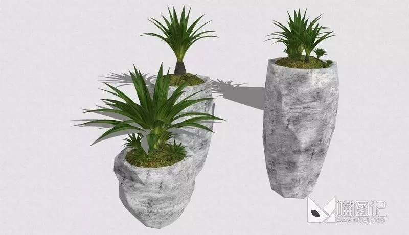 植物盆栽1080