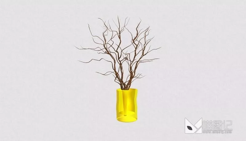 植物盆栽4931