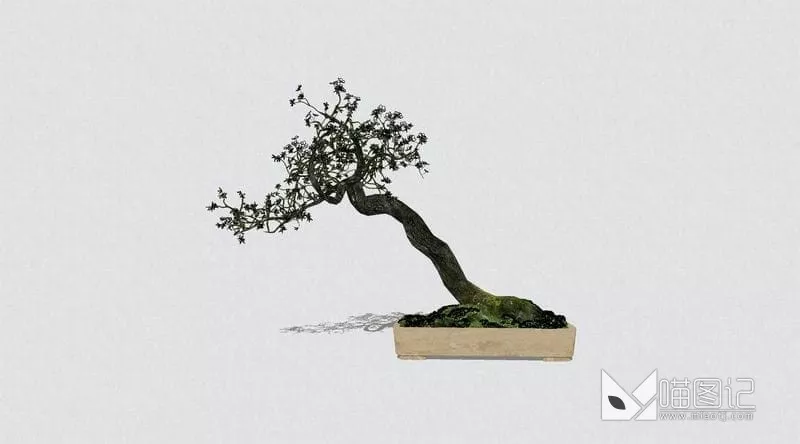 花卉盆栽ID:46196_喵图记