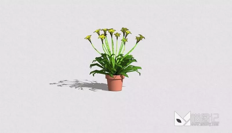 植物盆栽1199