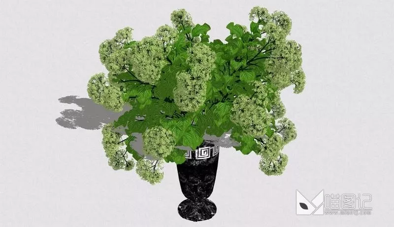 植物盆栽1089
