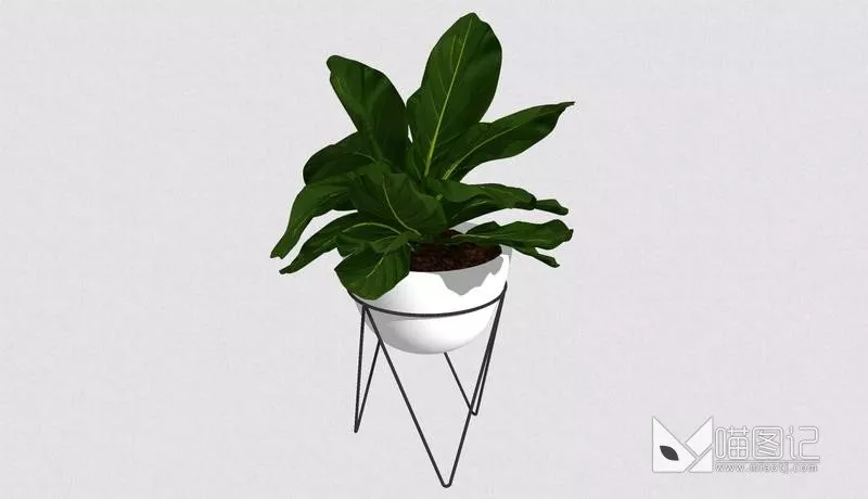 植物盆栽1081