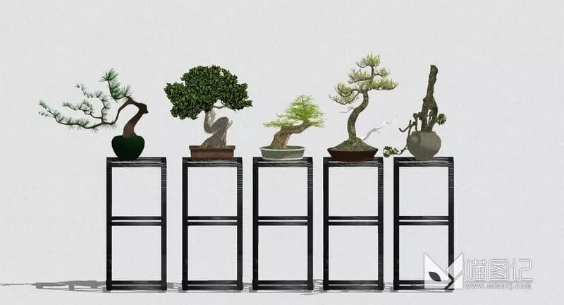 植物盆栽组合 ID:45118_喵图记