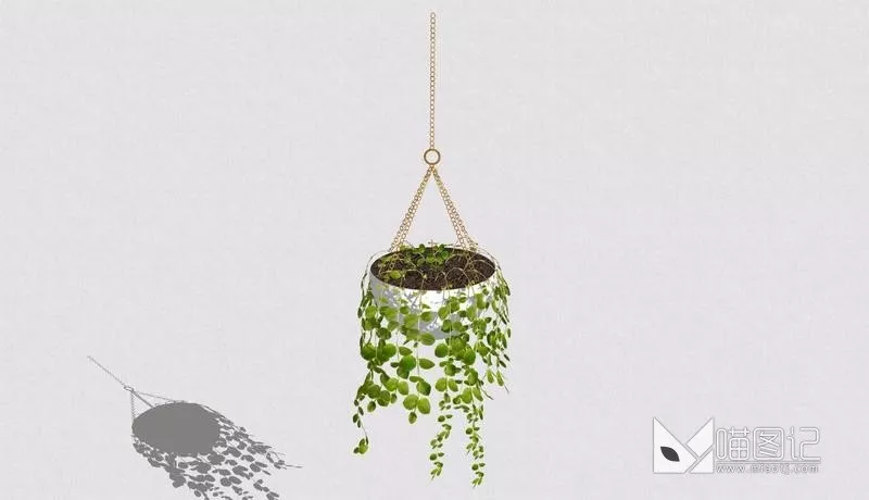 植物盆栽1068