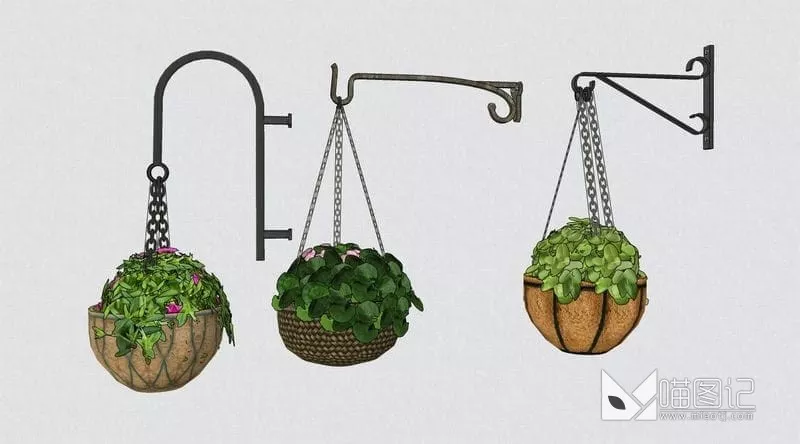 植物吊盆ID:46202_喵图记