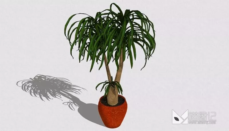 植物盆栽700