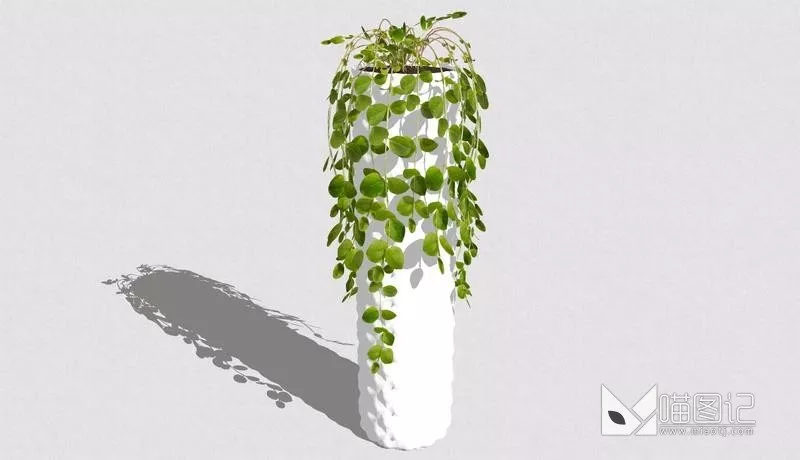 植物盆栽1069