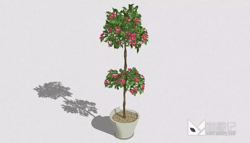 植物盆栽734
