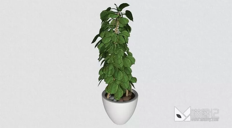植物盆栽花瓶插花ID:45459_喵图记