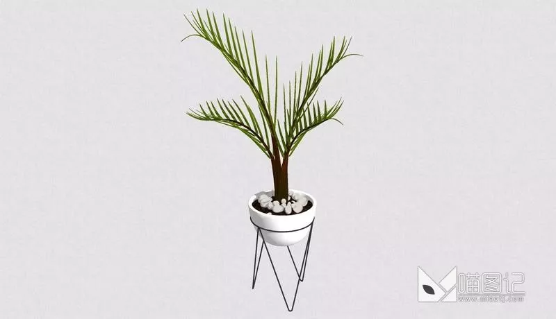 植物盆栽1082