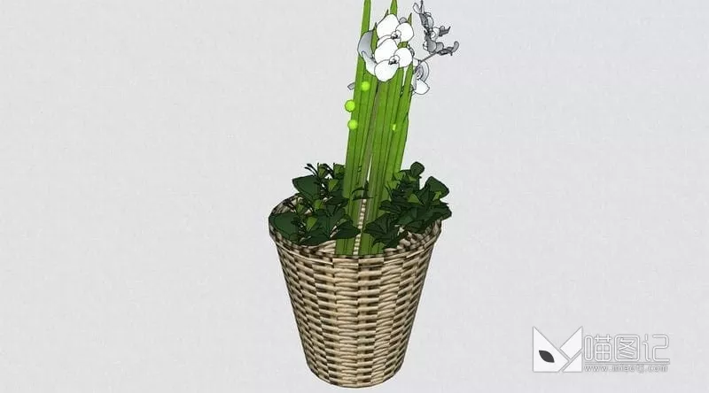 植物盆栽花瓶插花ID:45396_喵图记