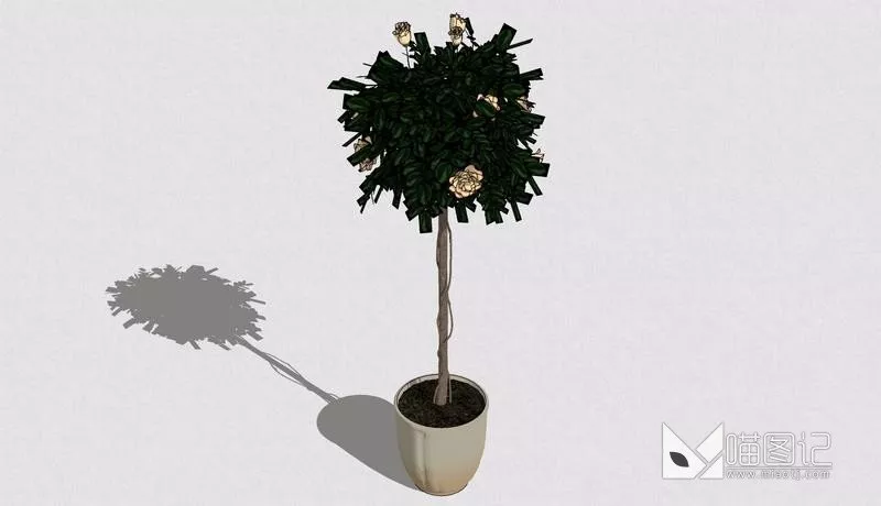 植物盆栽701