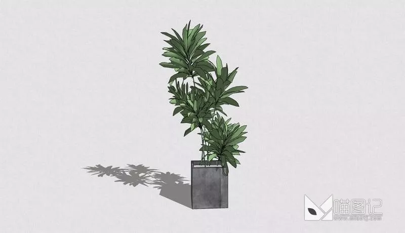 植物盆栽4928