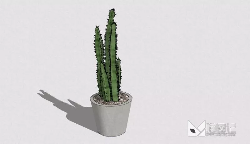 植物盆栽5167