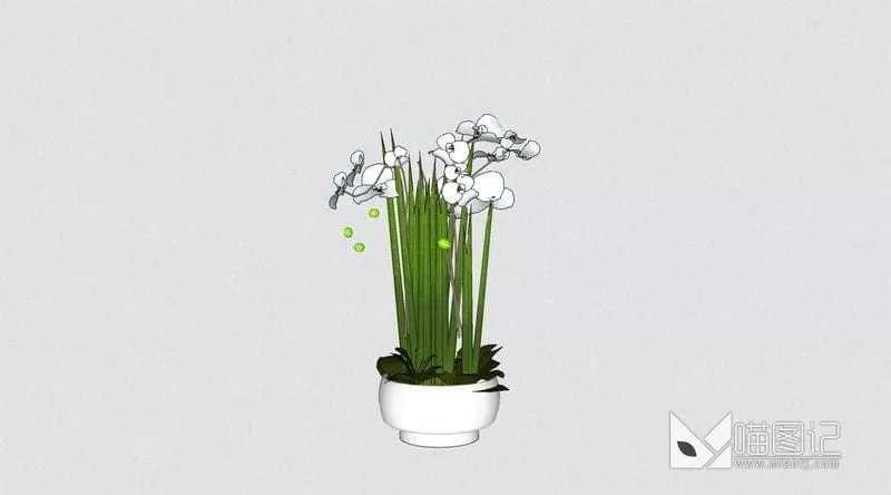 植物盆栽花瓶插花ID:45450_喵图记
