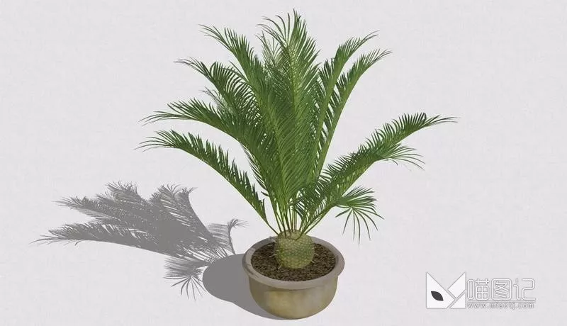 植物盆栽726