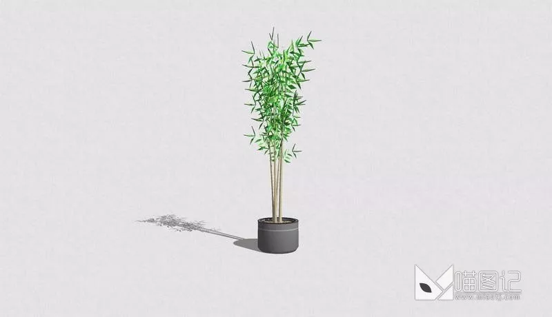 植物盆栽1202
