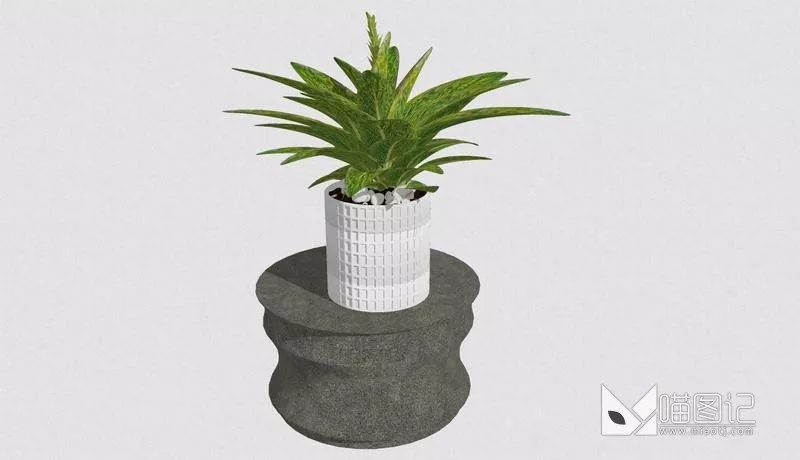 植物盆栽1083