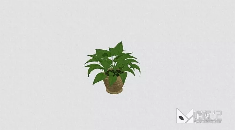 植物盆栽 ID:45968_喵图记