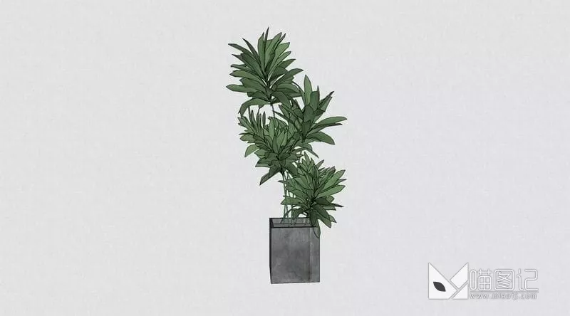 植物盆栽花瓶插花ID:45384_喵图记