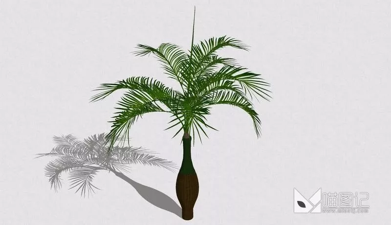 植物盆栽713